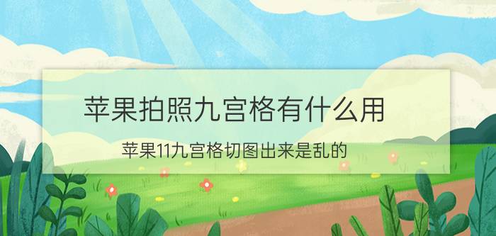 苹果拍照九宫格有什么用 苹果11九宫格切图出来是乱的？